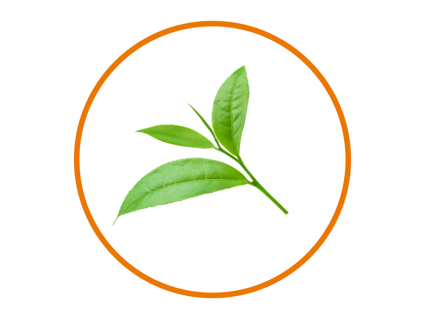 PlaqBrite™ Botanical Complex