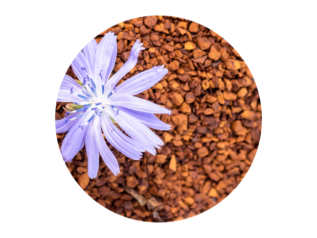 Oligofructose (from Chicory Root Fibre)