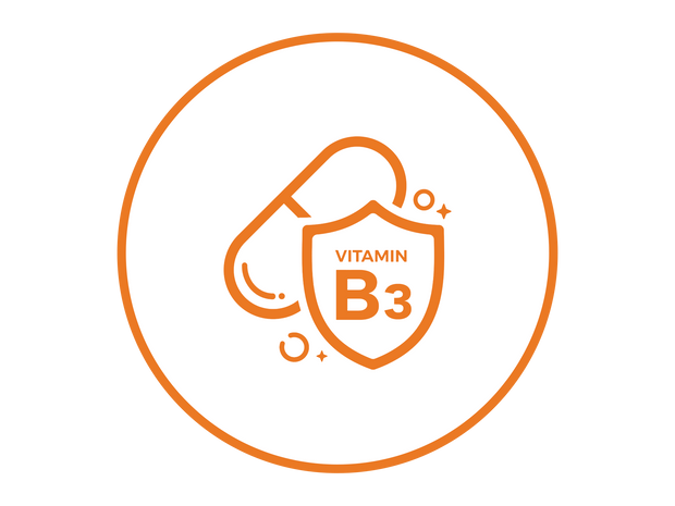 Vitamin B3 (Niacinamide) 