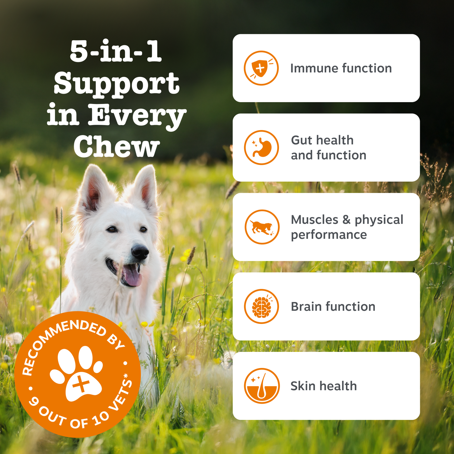 Zesty Paws 5-in-1 Chews
