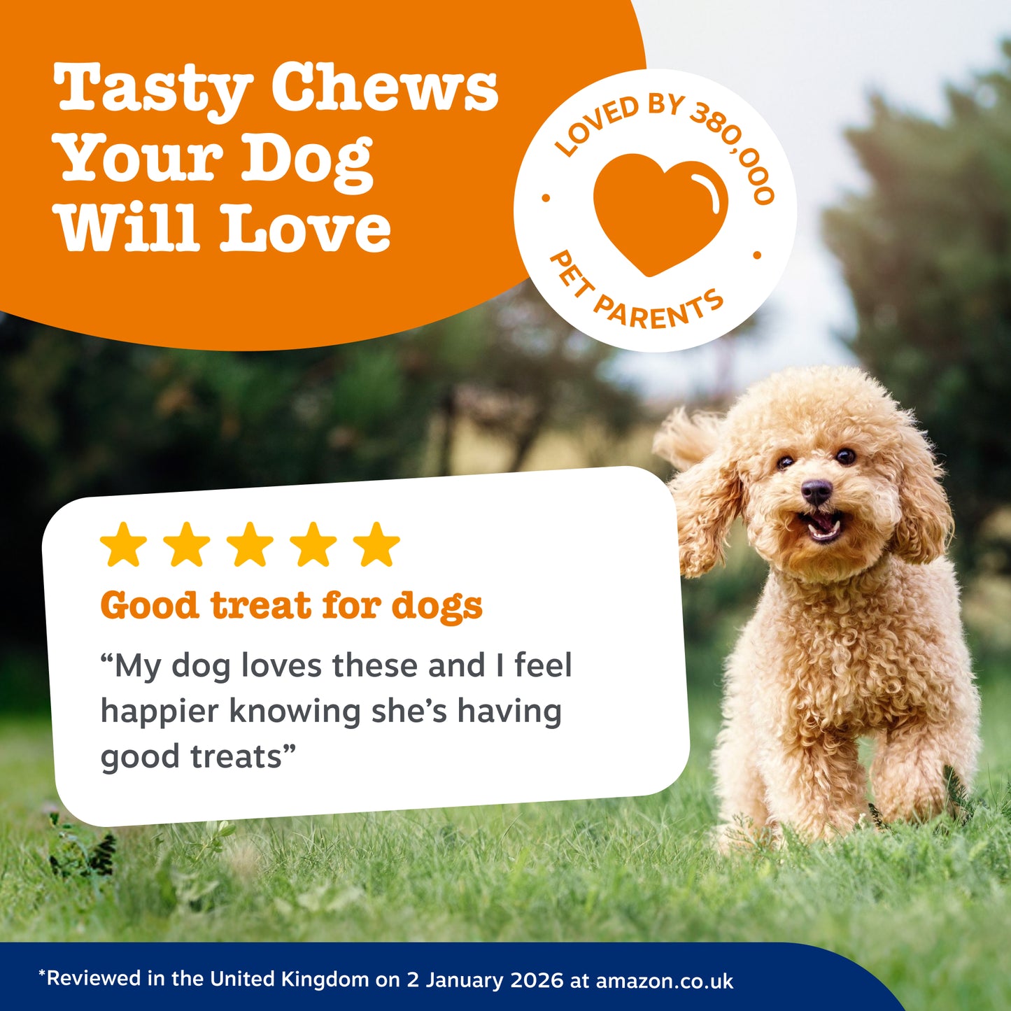 Zesty Paws 5-in-1 Chews