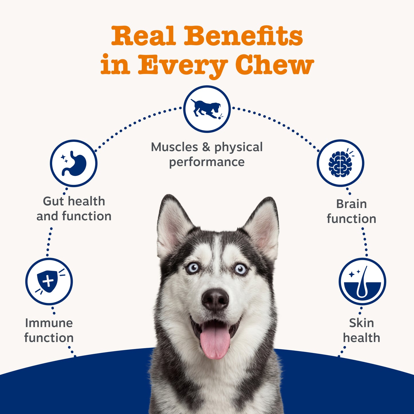 Zesty Paws 5-in-1 Chews