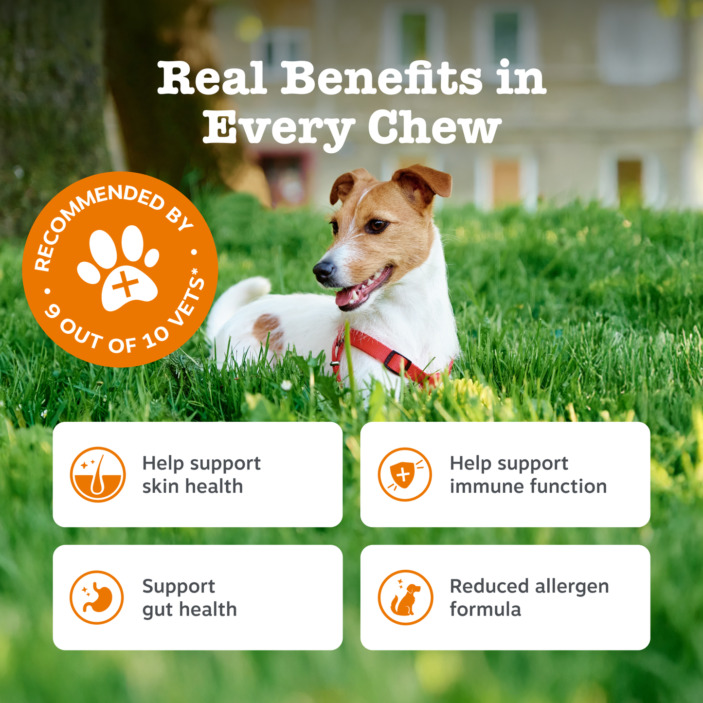 Zesty Paws Aller-Immune Chews