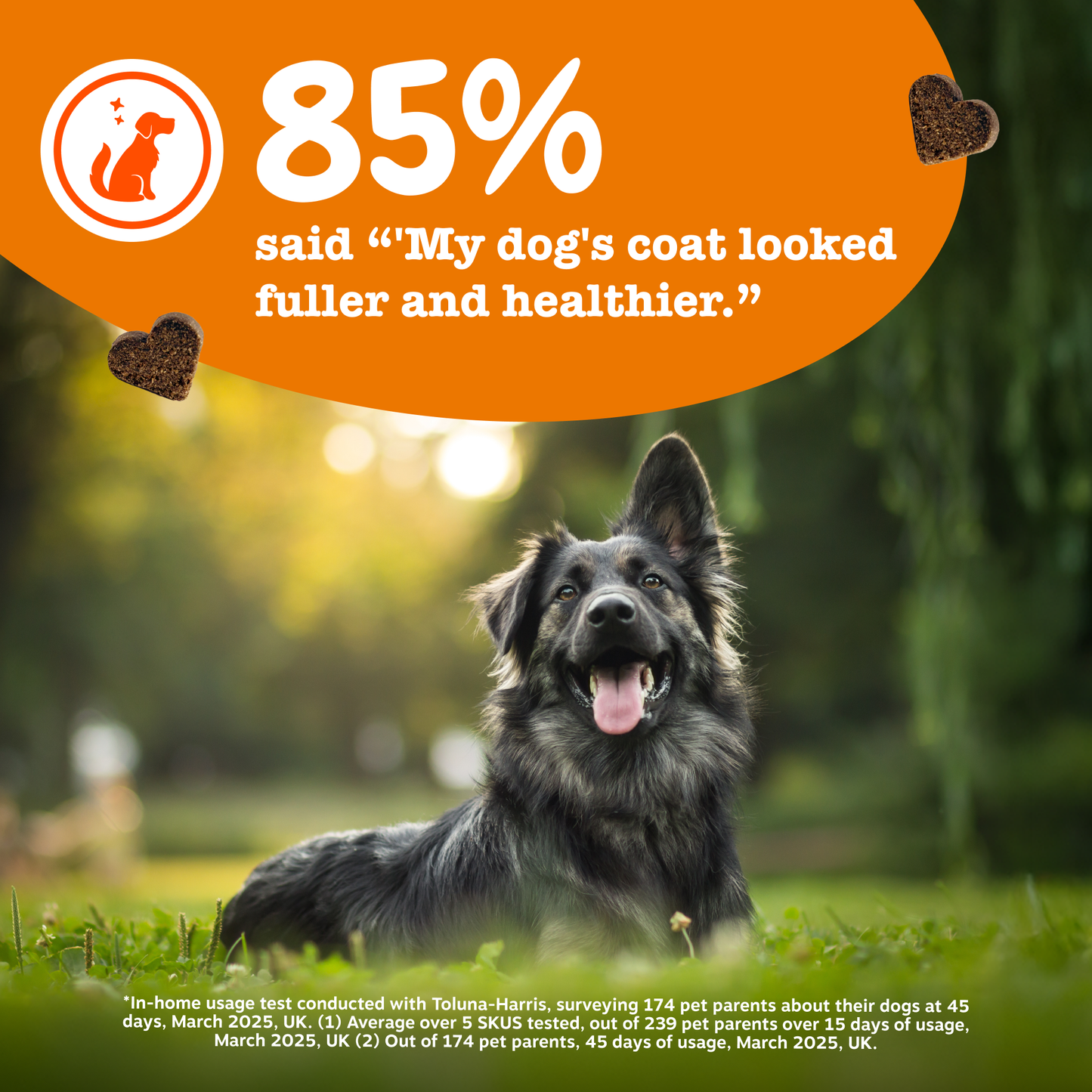 Zesty Paws Aller-Immune Chews