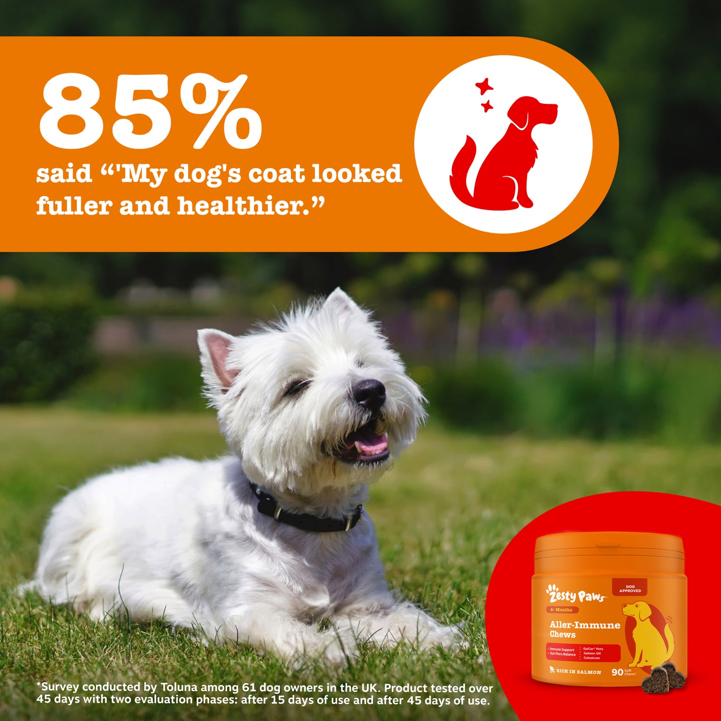 Zesty Paws Aller-Immune Chews