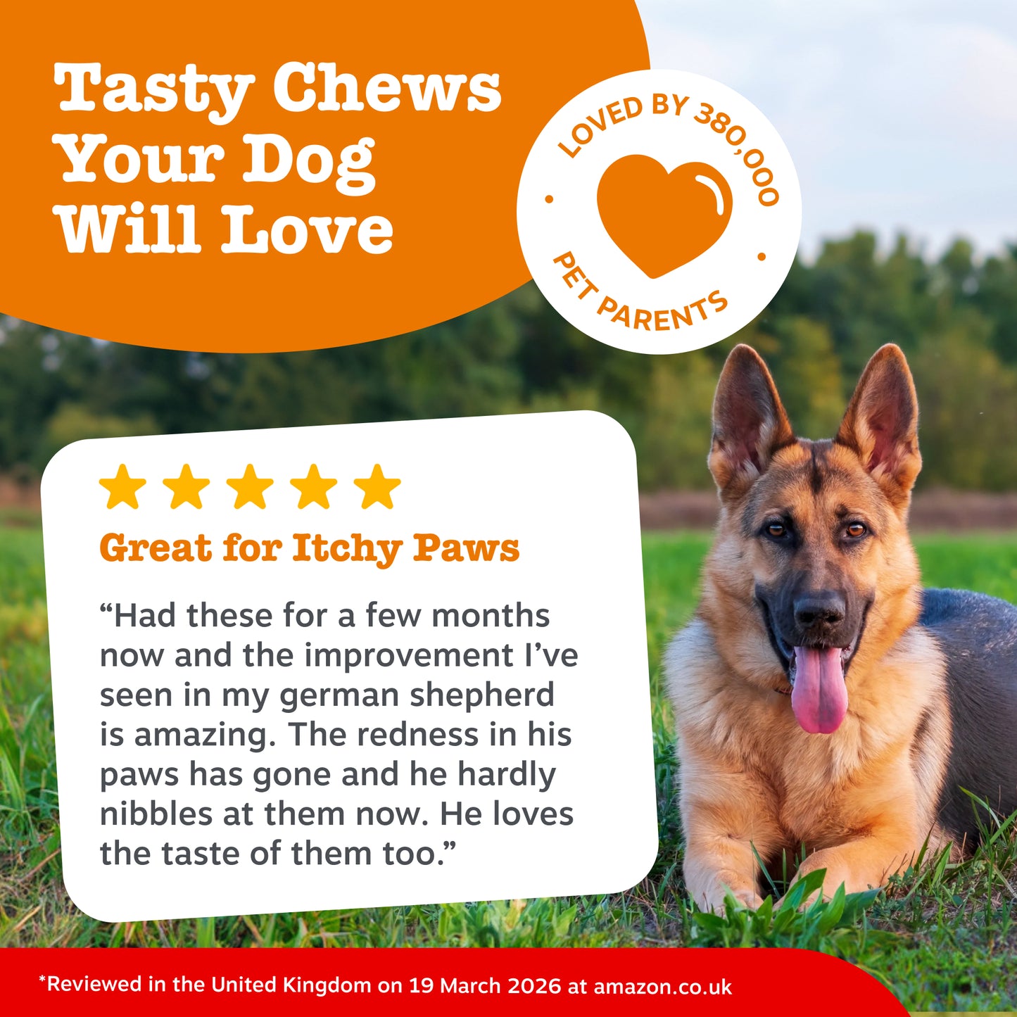Zesty Paws Aller-Immune Chews