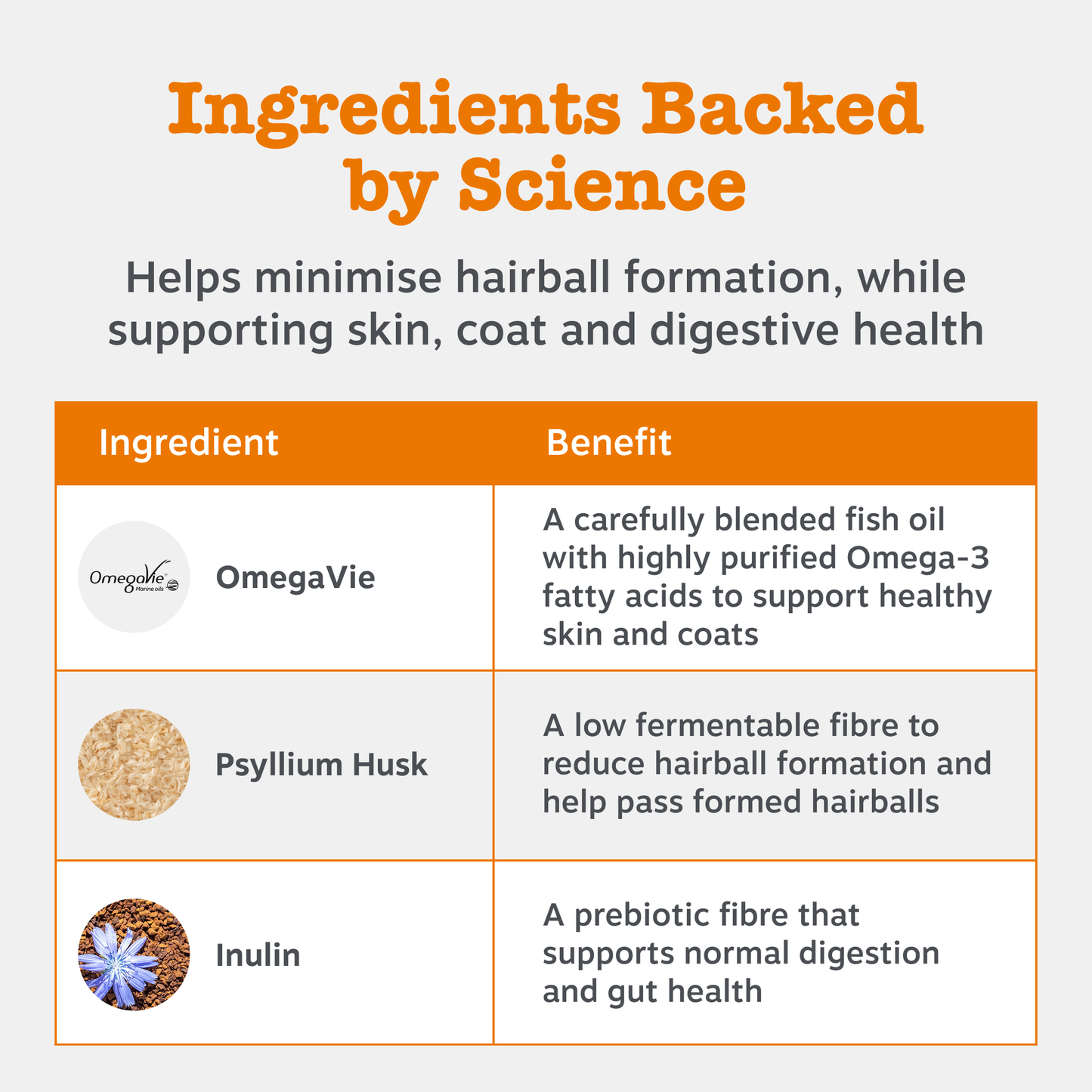 Zesty Paws Anti-Hairball Paste