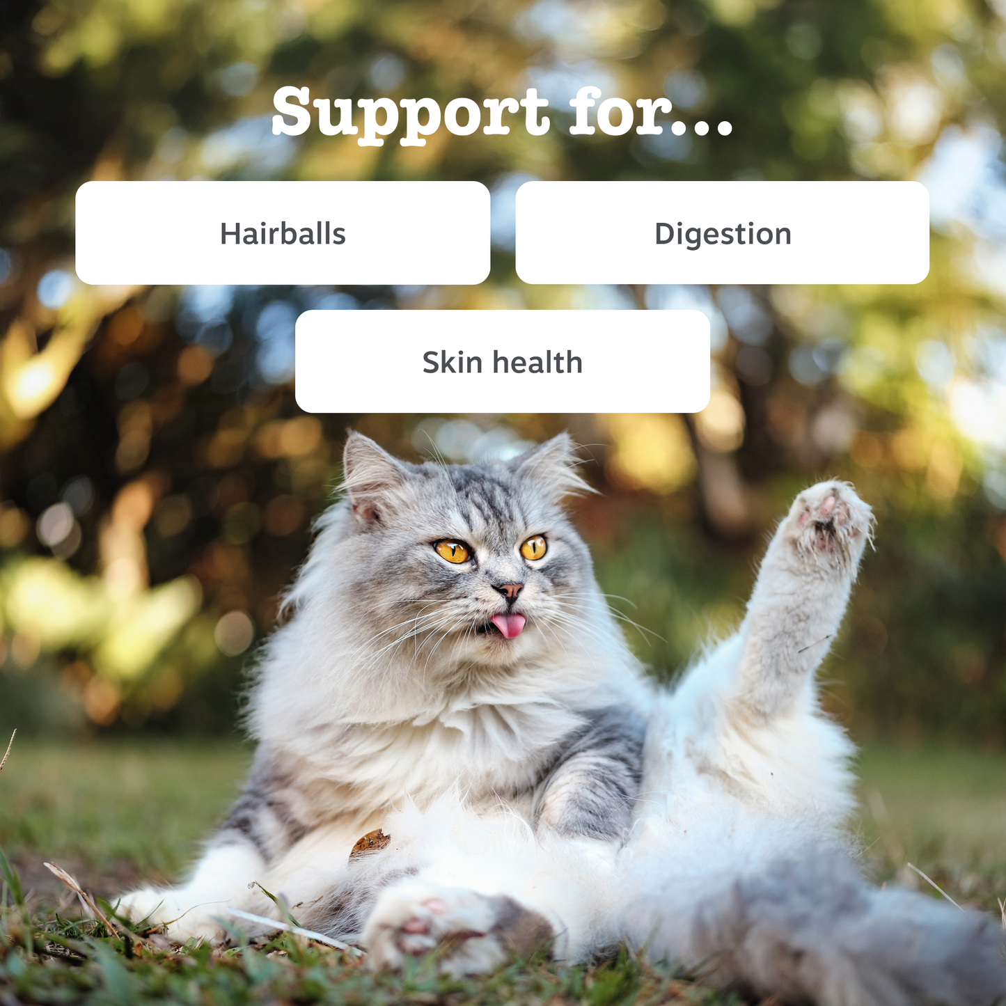 Zesty Paws Anti-Hairball Paste