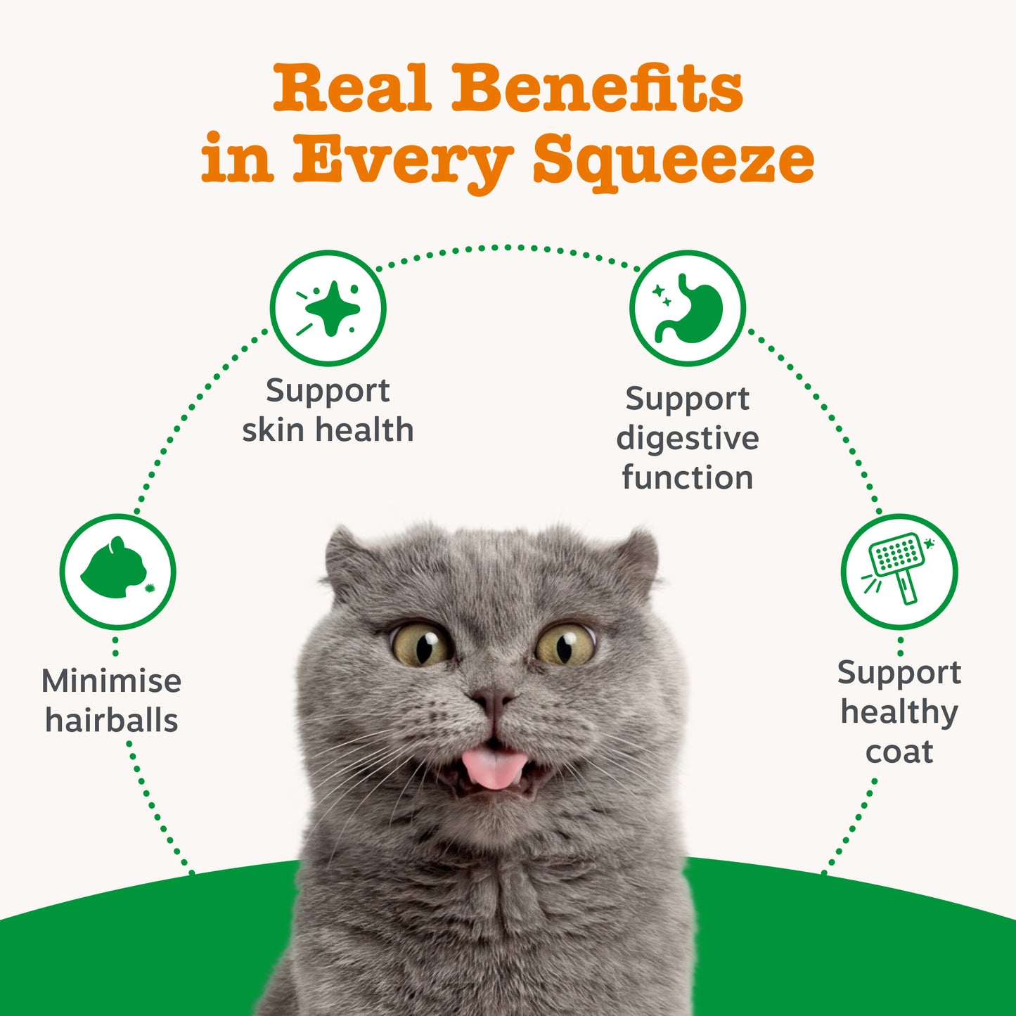 Gray cat with text about real benefits of a product on a white background