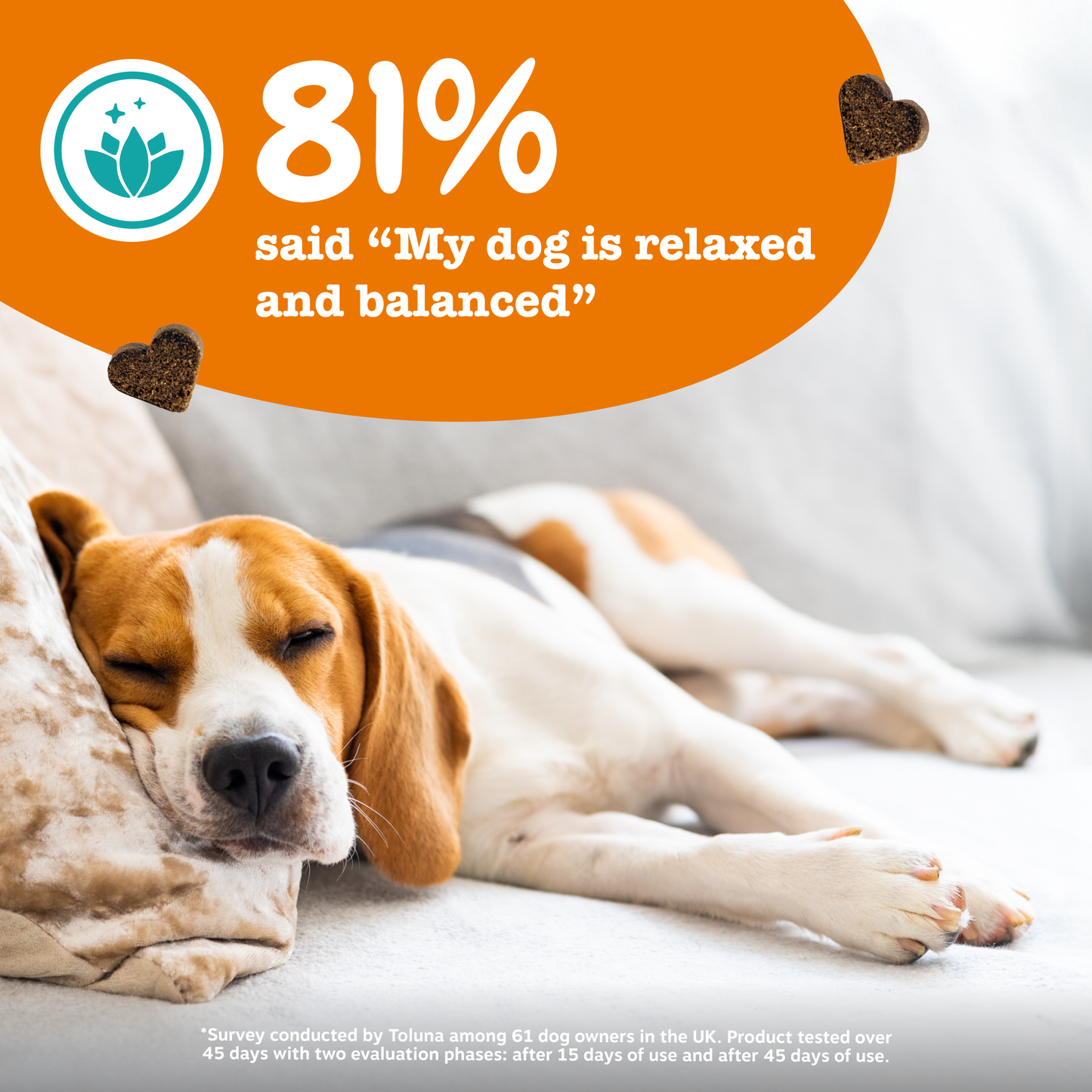 Zesty Paws Calming Chews
