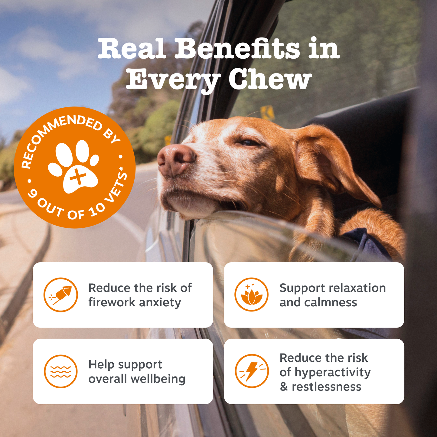 Zesty Paws Calming Chews
