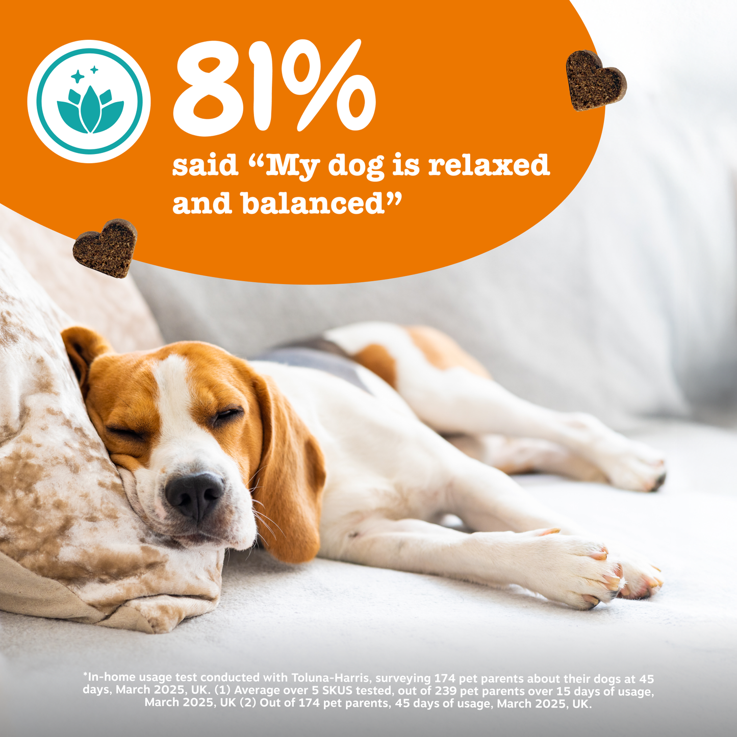 Zesty Paws Calming Chews