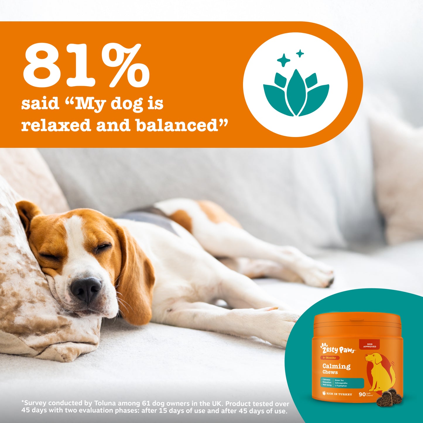 Zesty Paws Calming Chews