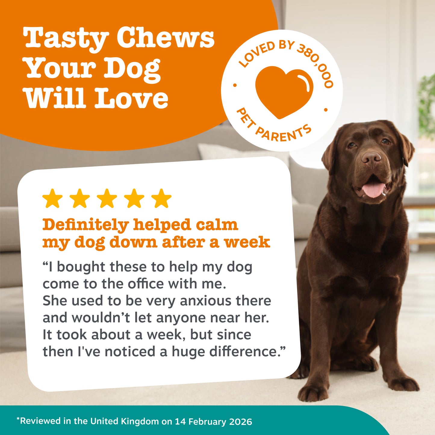 Zesty Paws Calming Chews