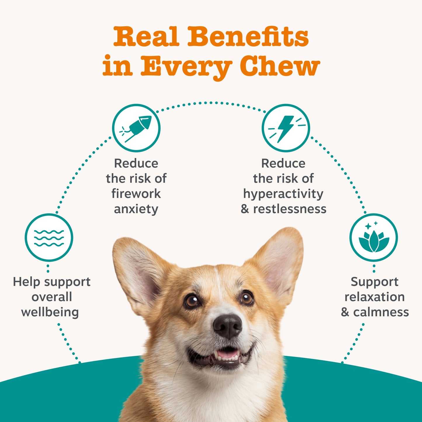 Zesty Paws Calming Chews