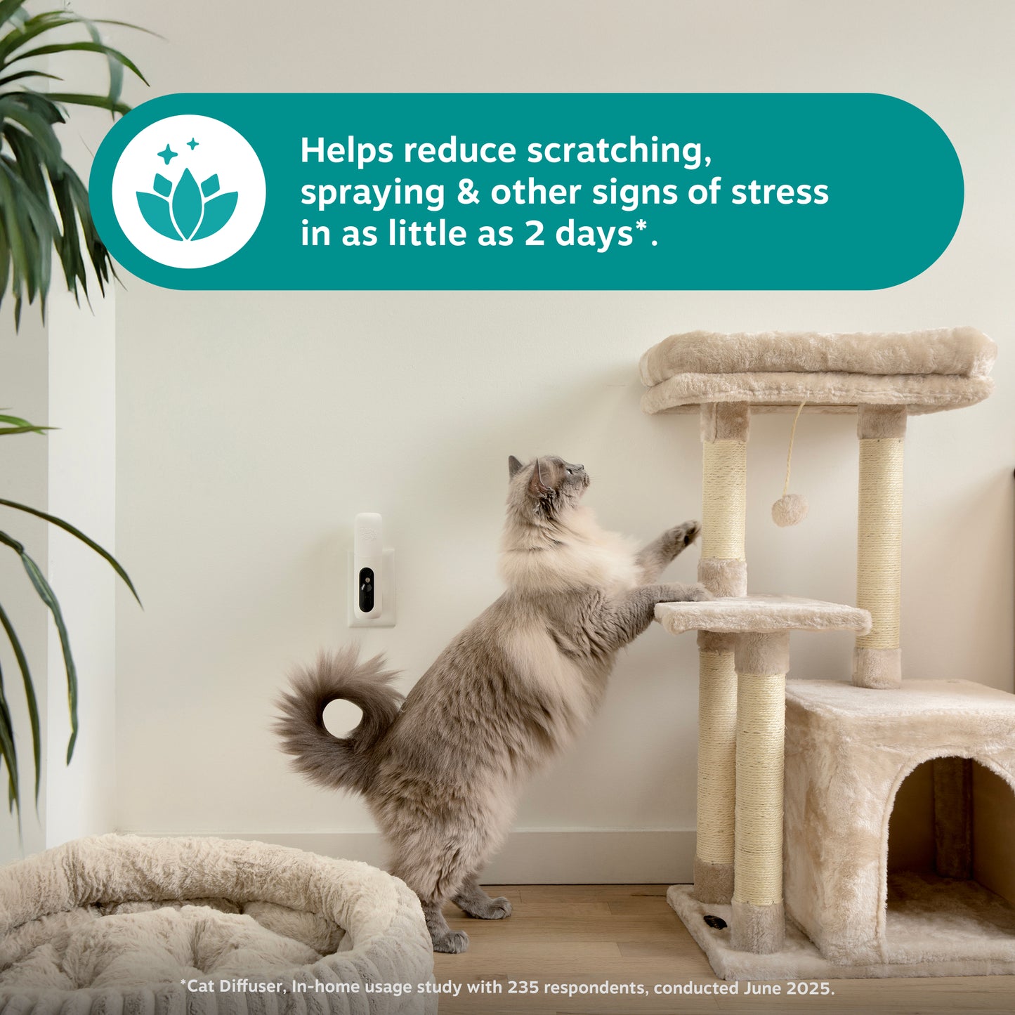 Zesty Paws Cat Calming Diffuser Starter Kit