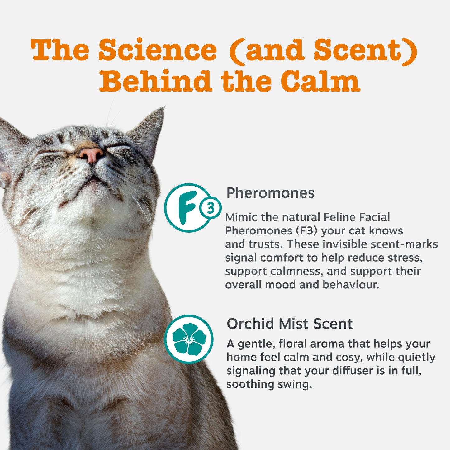 Zesty Paws Cat Calming Diffuser Starter Kit