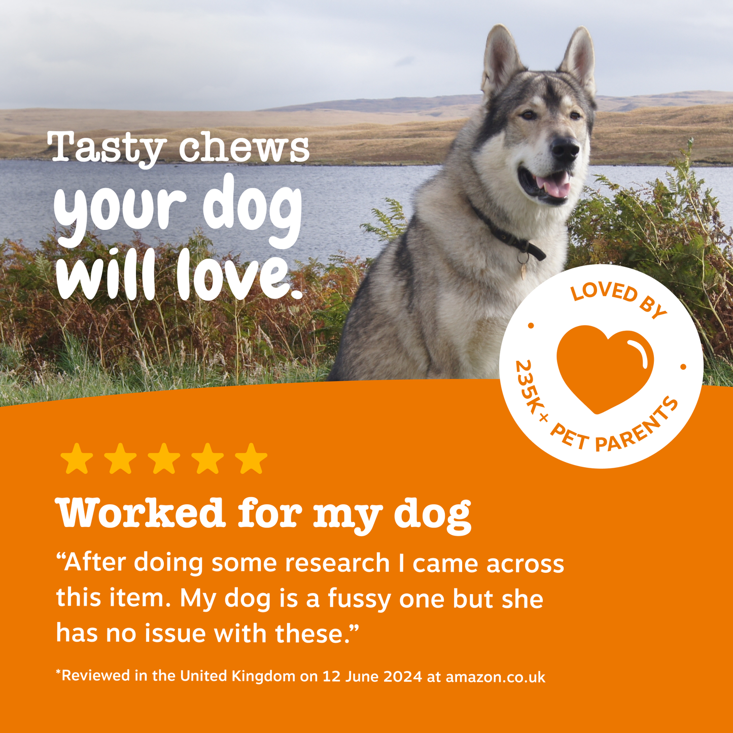 Zesty Paws Cranberry Urinary Chews