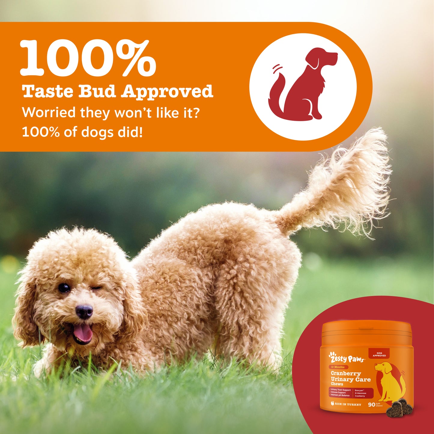Zesty Paws Cranberry Urinary Chews
