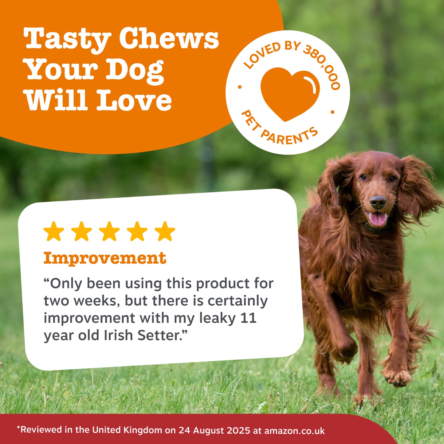 Zesty Paws Cranberry Urinary Chews
