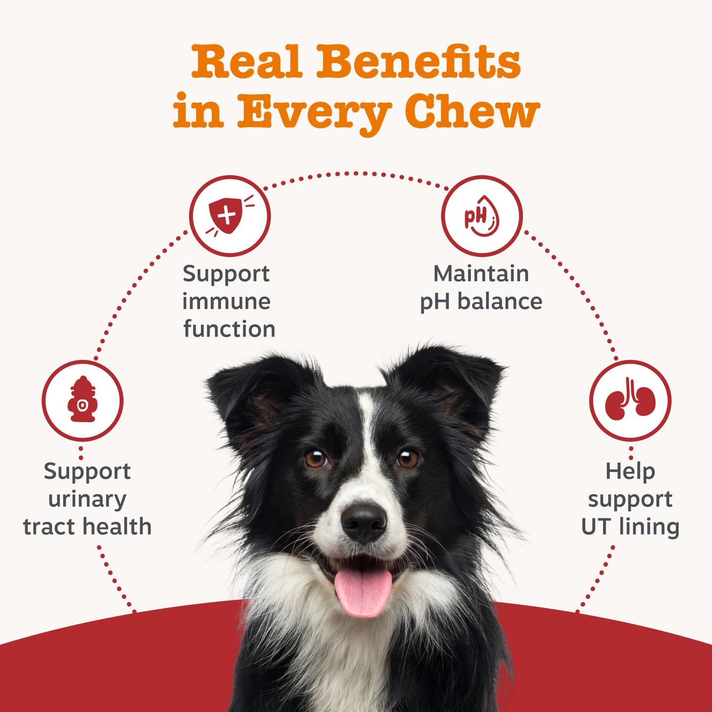 Zesty Paws Cranberry Urinary Chews