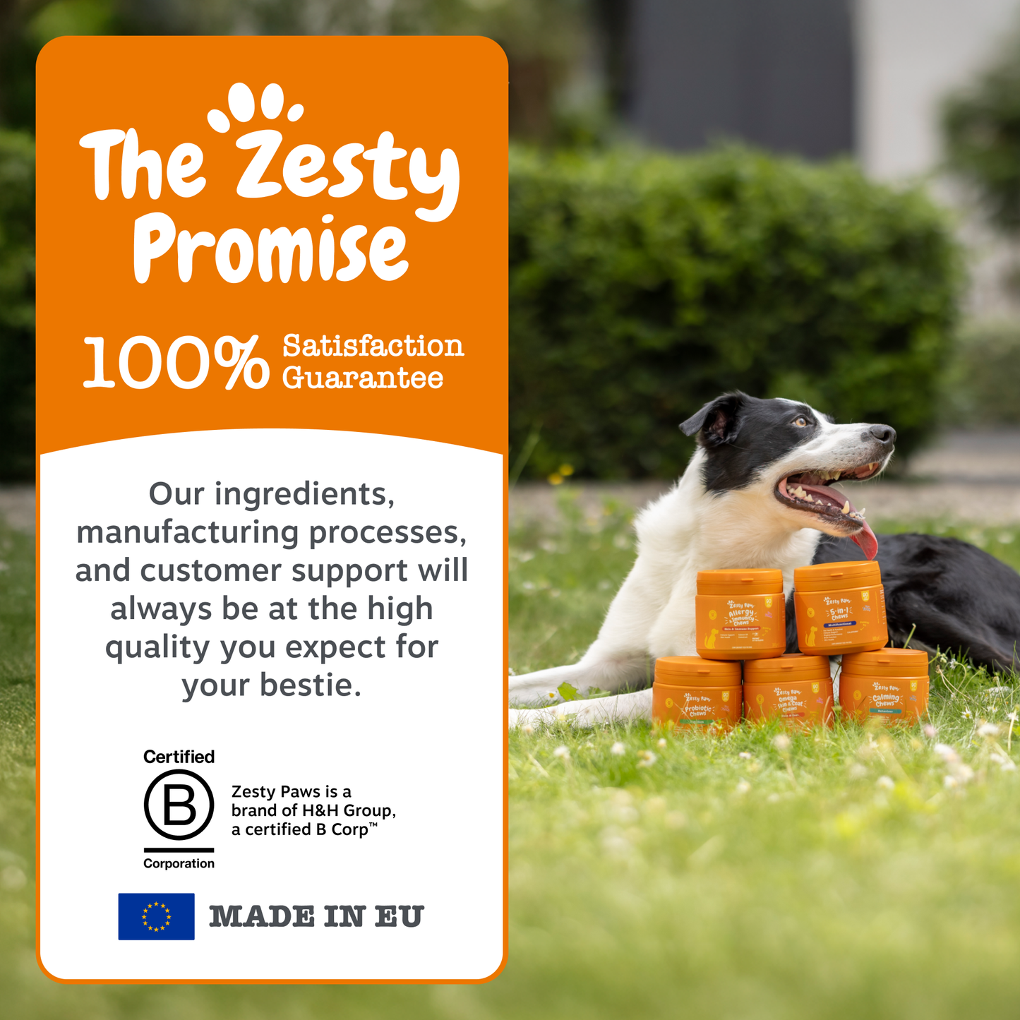 Zesty Paws Dental Powder