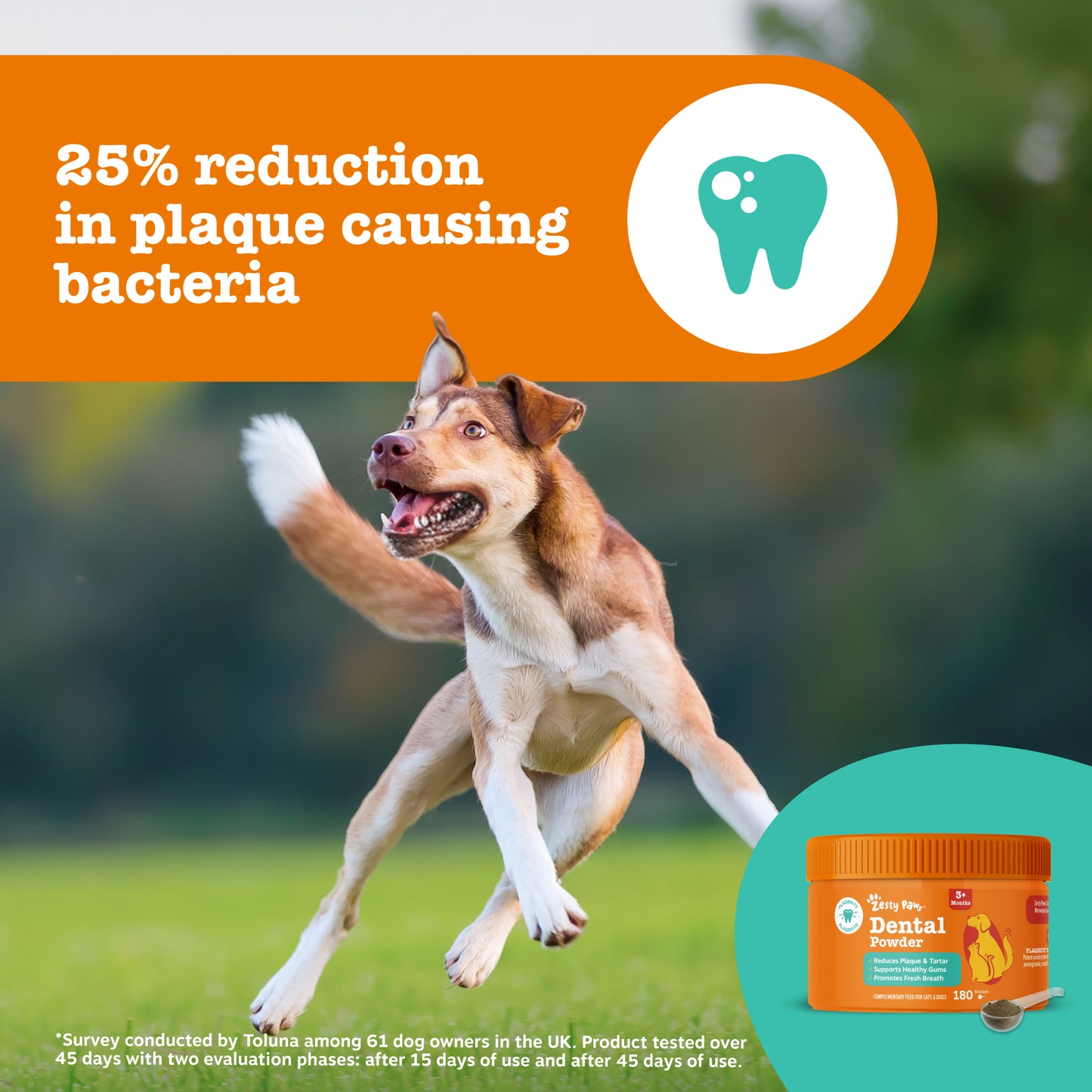 Zesty Paws Dental Powder