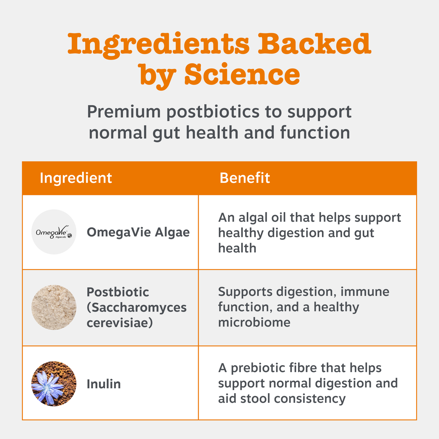 Zesty Paws Digestion & Prebiotic Paste