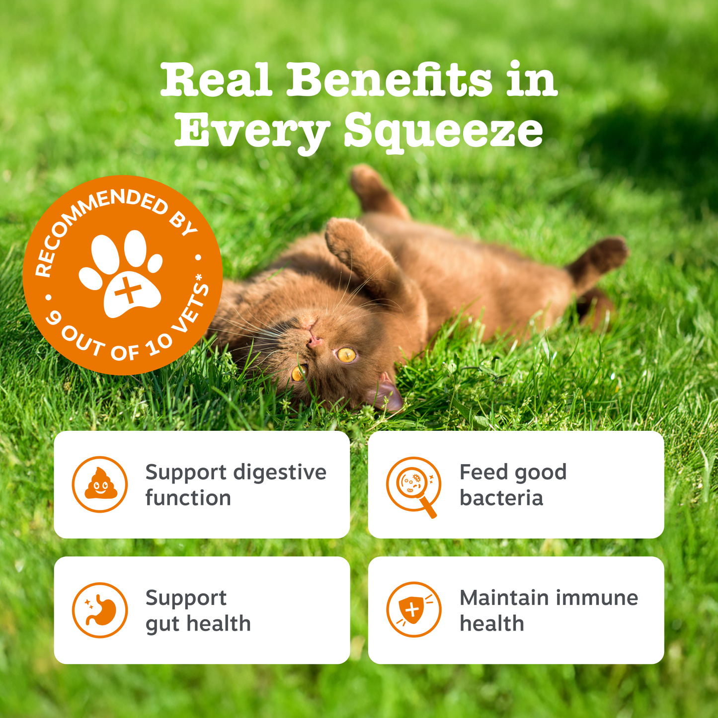 Zesty Paws Digestion & Prebiotic Paste