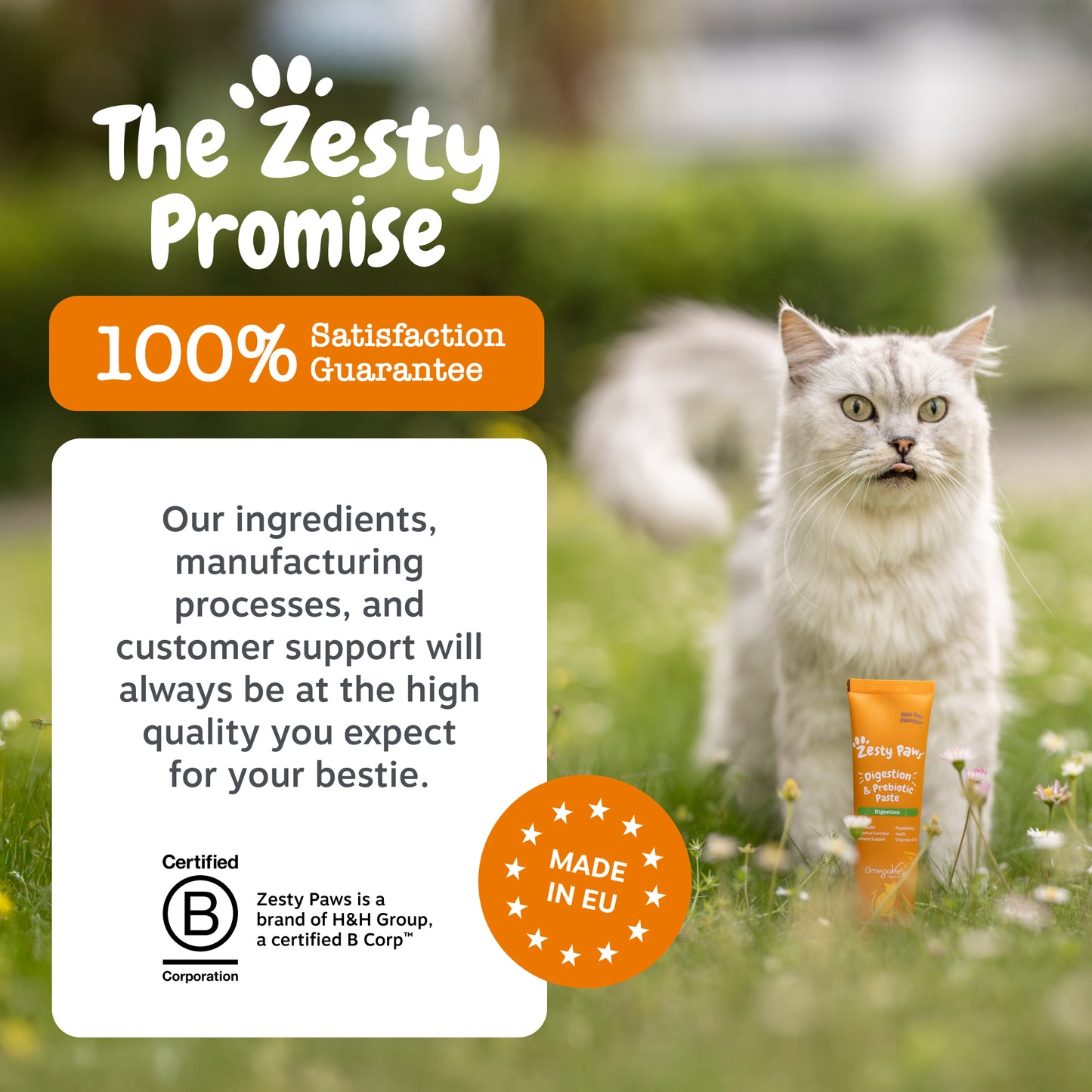 Zesty Paws Digestion & Prebiotic Paste
