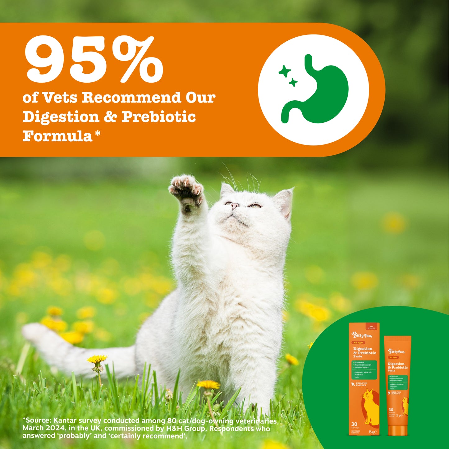 Zesty Paws Digestion & Prebiotic Paste
