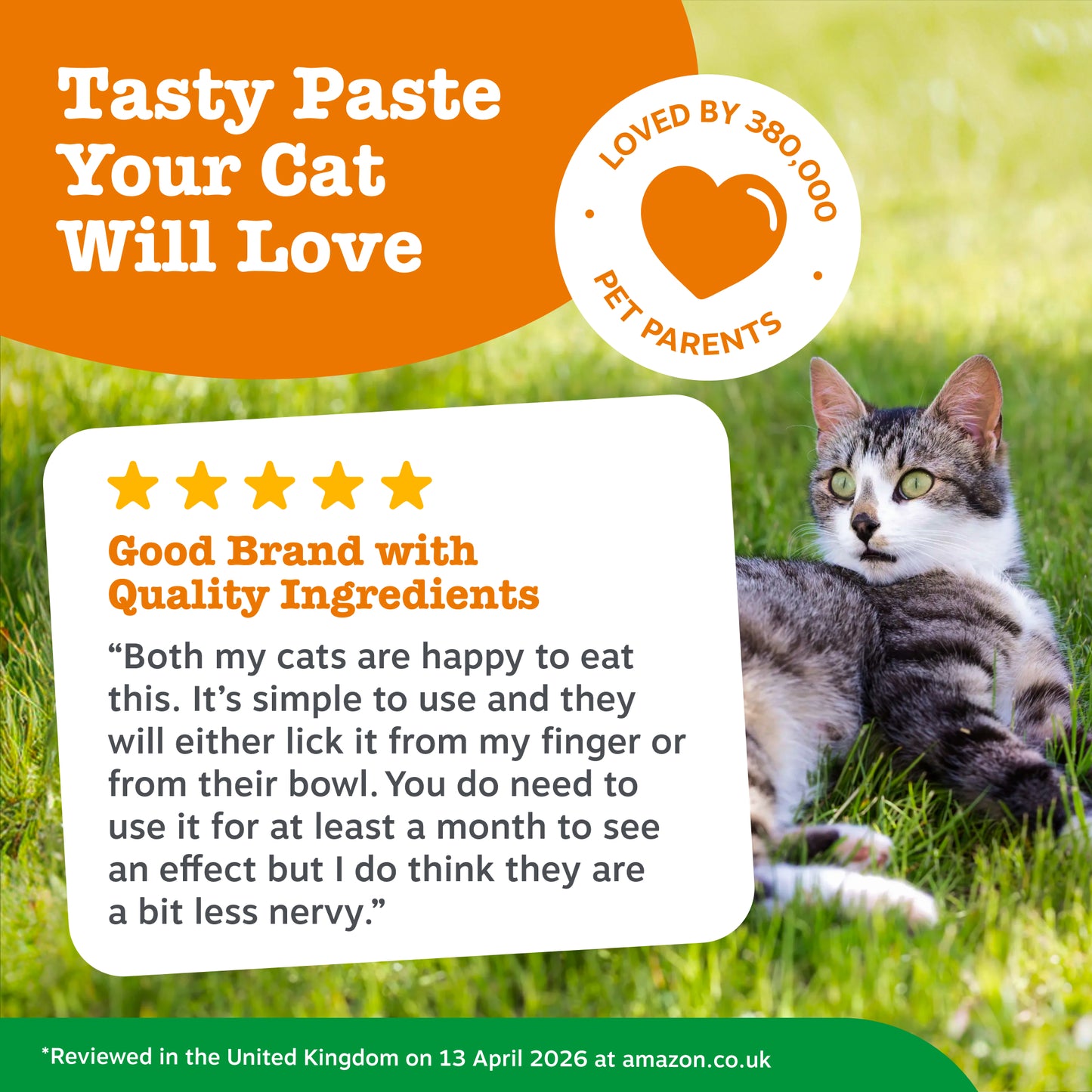 Zesty Paws Digestion & Prebiotic Paste
