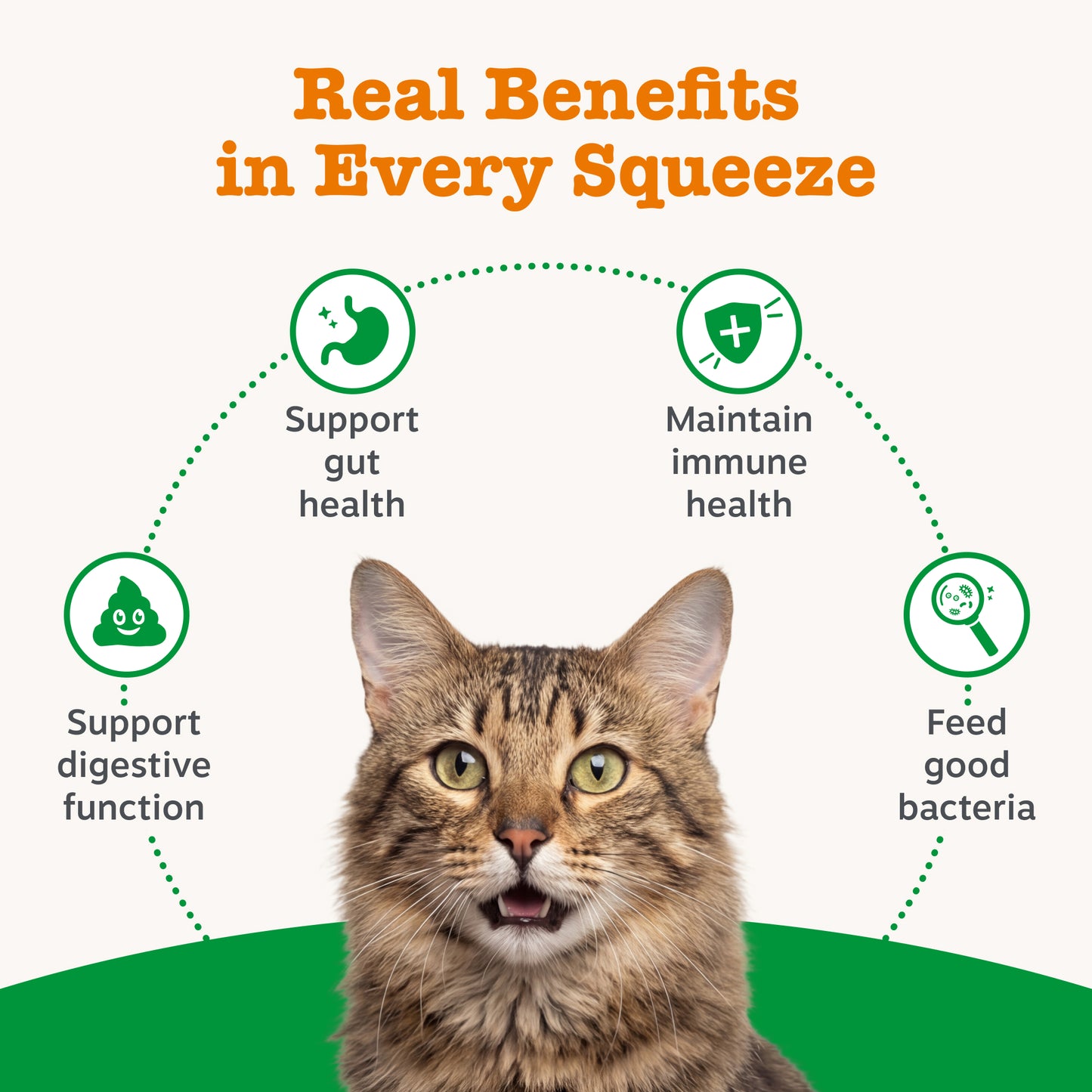 Zesty Paws Digestion & Prebiotic Paste