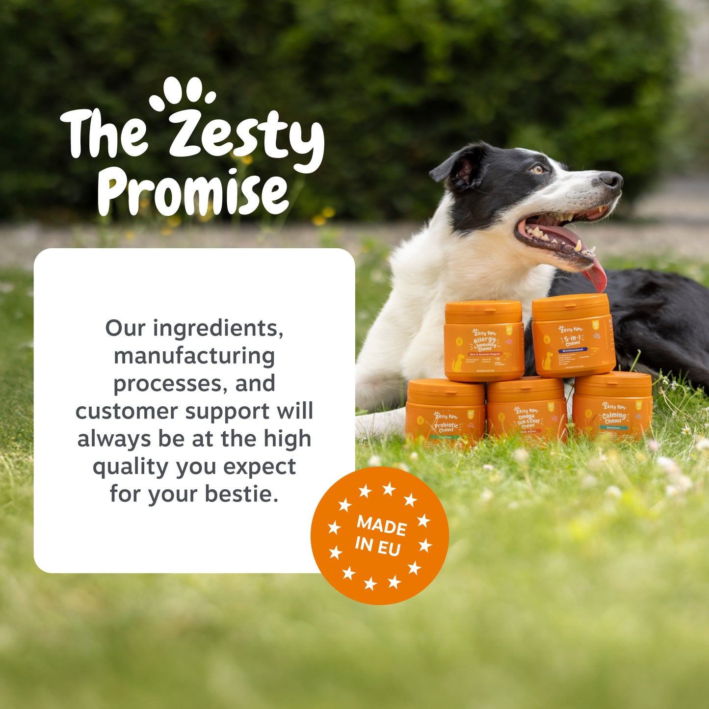 Zesty Paws Dog Digestive & Calming Duo
