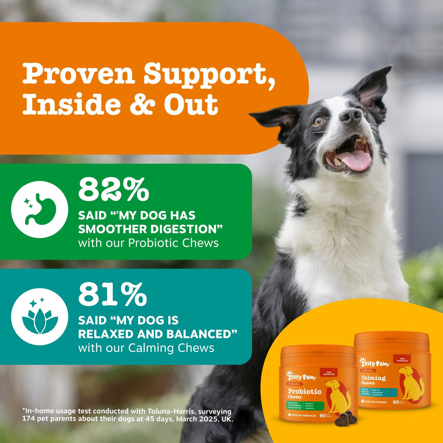 Zesty Paws Dog Digestive & Calming Duo