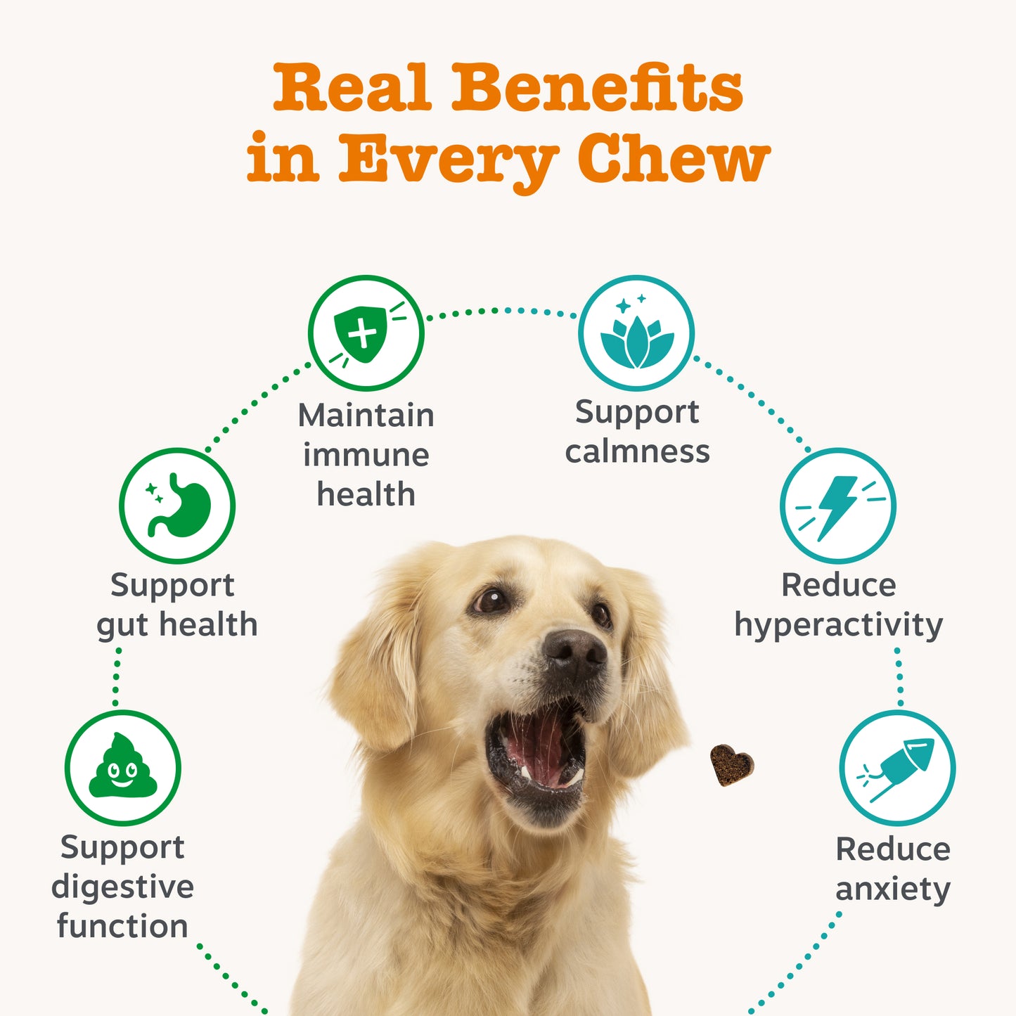 Zesty Paws Dog Digestive & Calming Duo