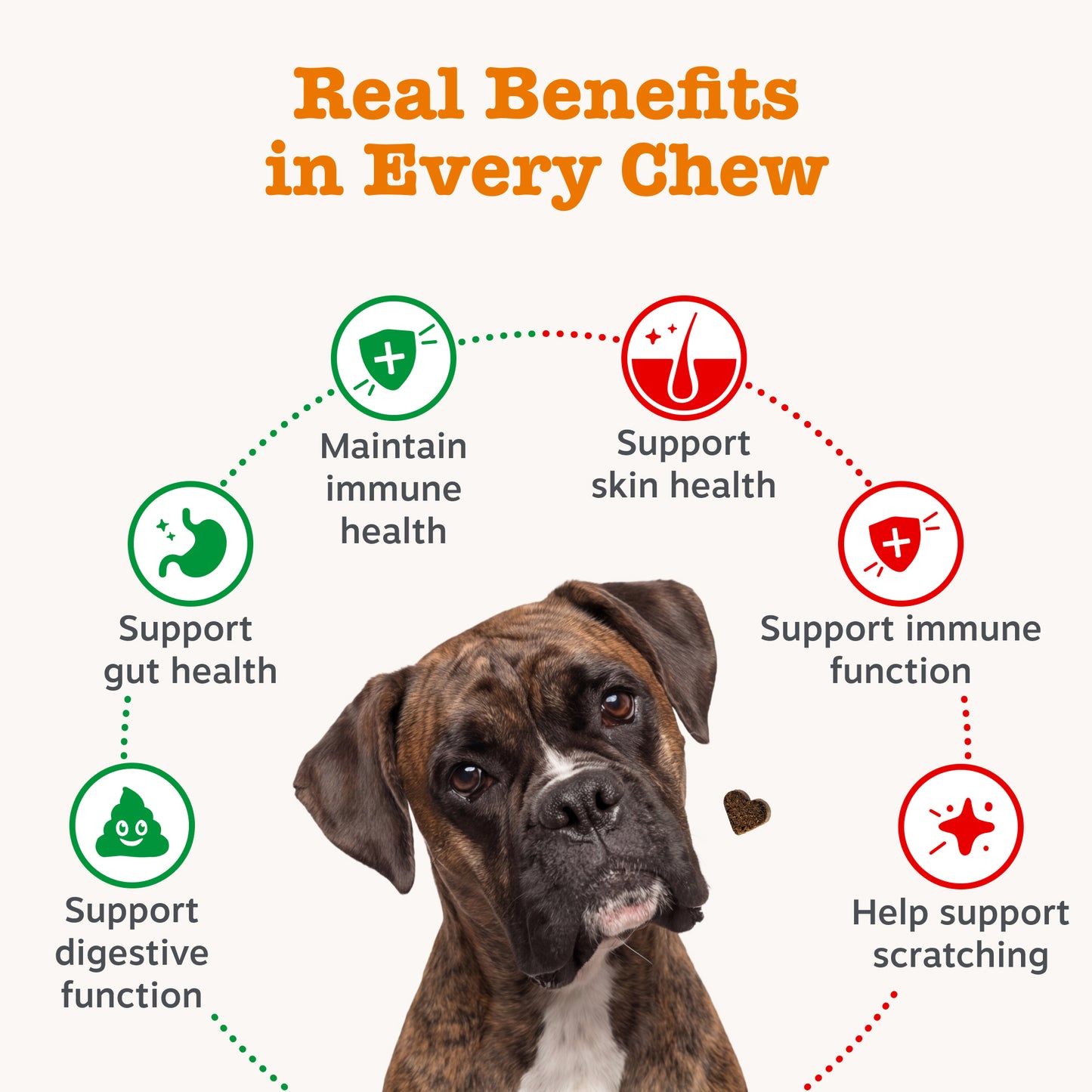 Zesty Paws Dog Digestive & Immunity Duo
