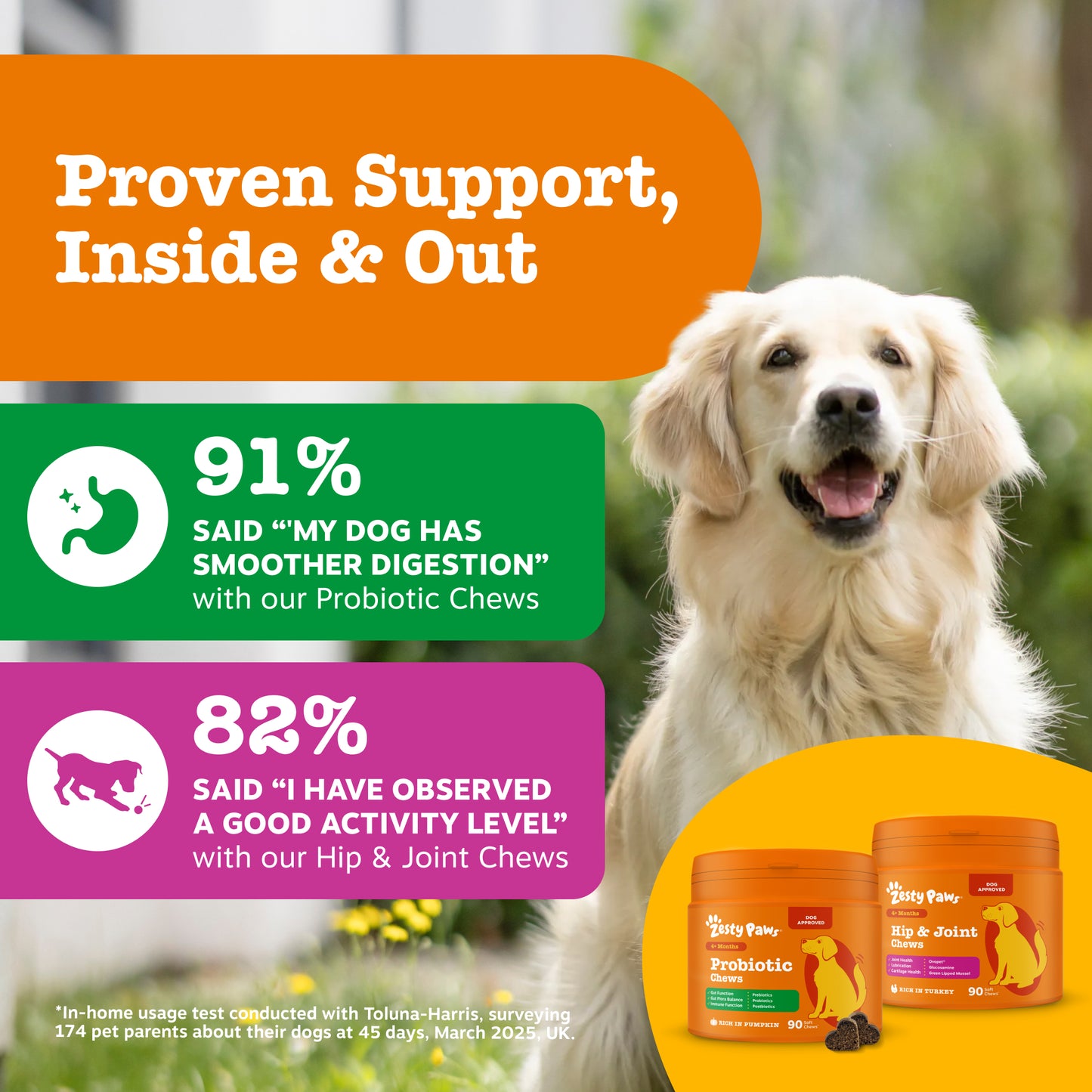 Zesty Paws Dog Digestive & Joint Duo