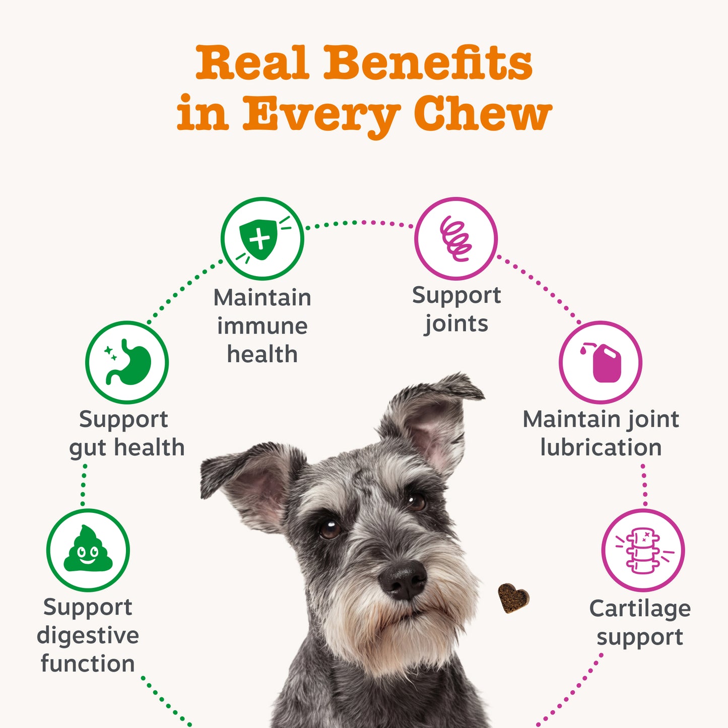 Zesty Paws Dog Digestive & Joint Duo