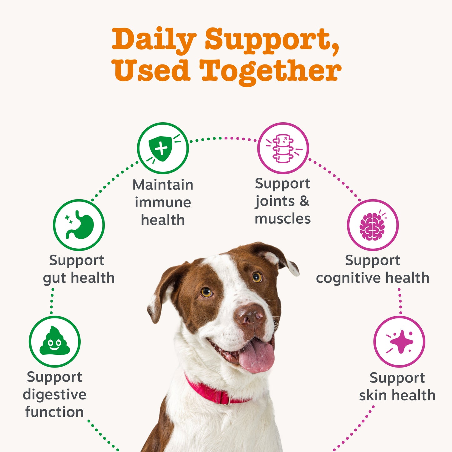 Zesty Paws Dog Gut & Mobility Duo