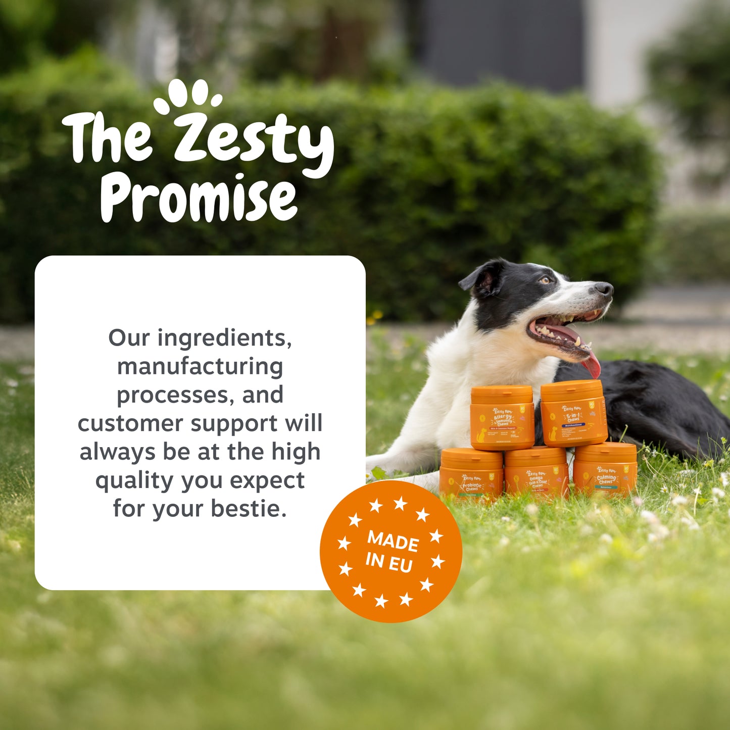 Zesty Paws Easy Calm Rapid Care Paste