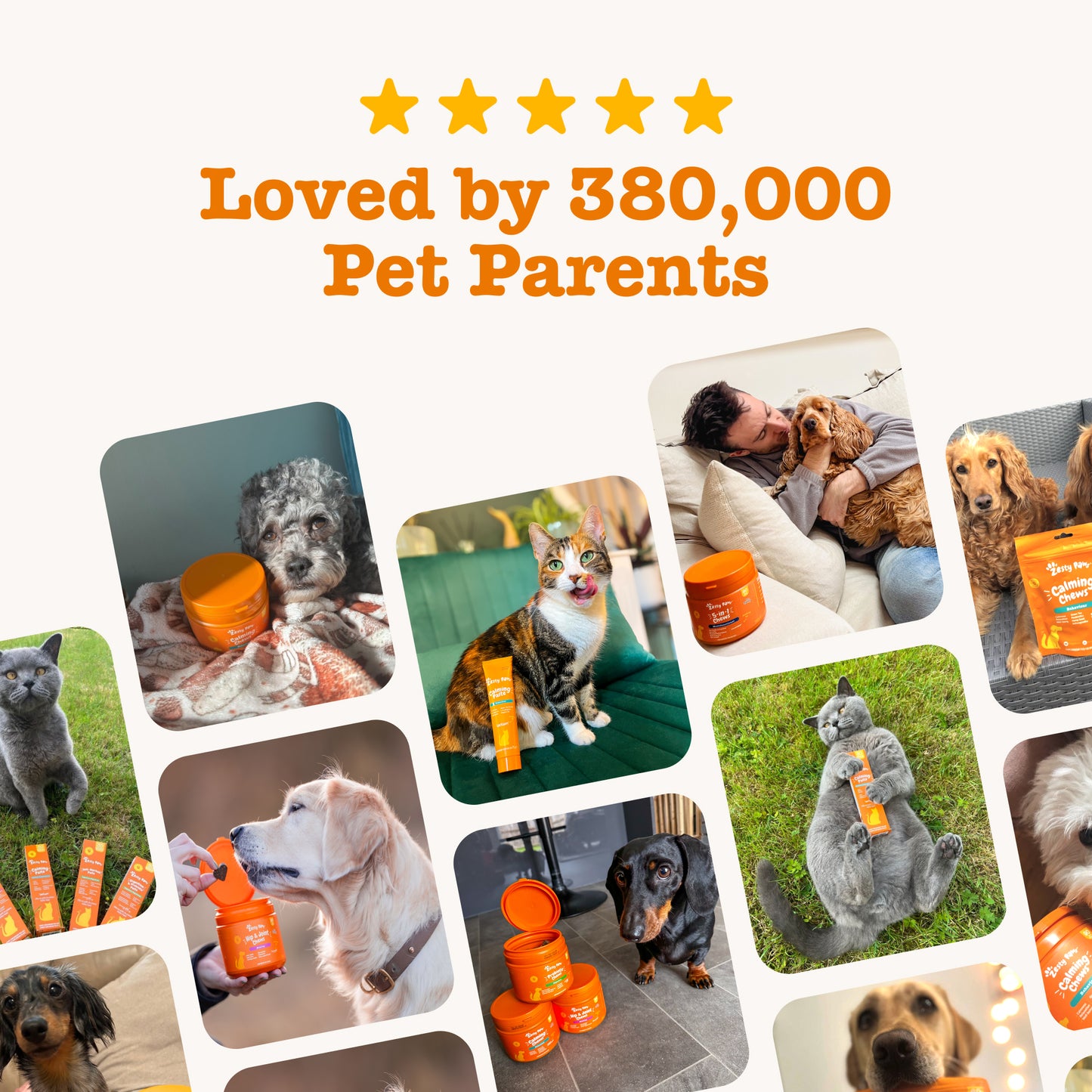 Zesty Paws Easy Calm Rapid Care Paste