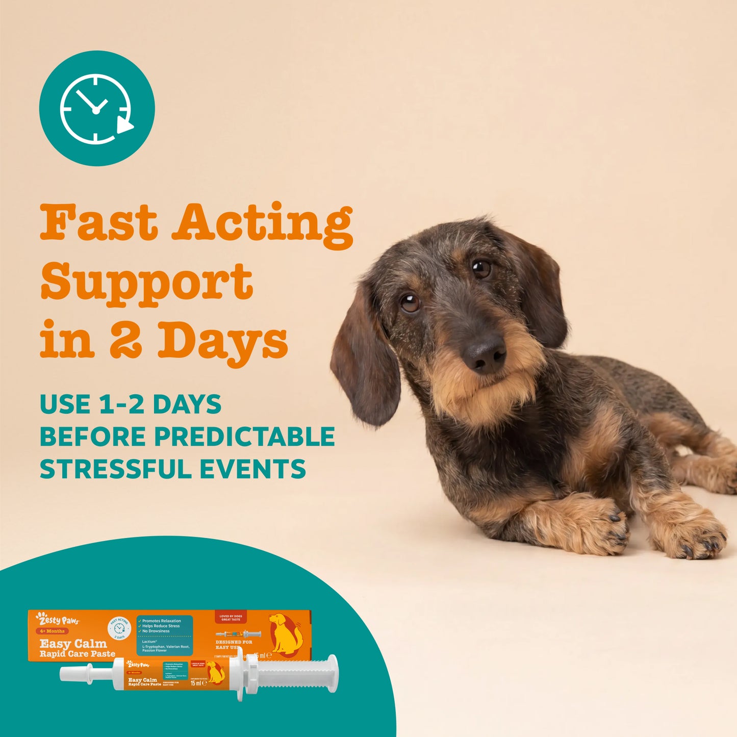 Zesty Paws Easy Calm Rapid Care Paste