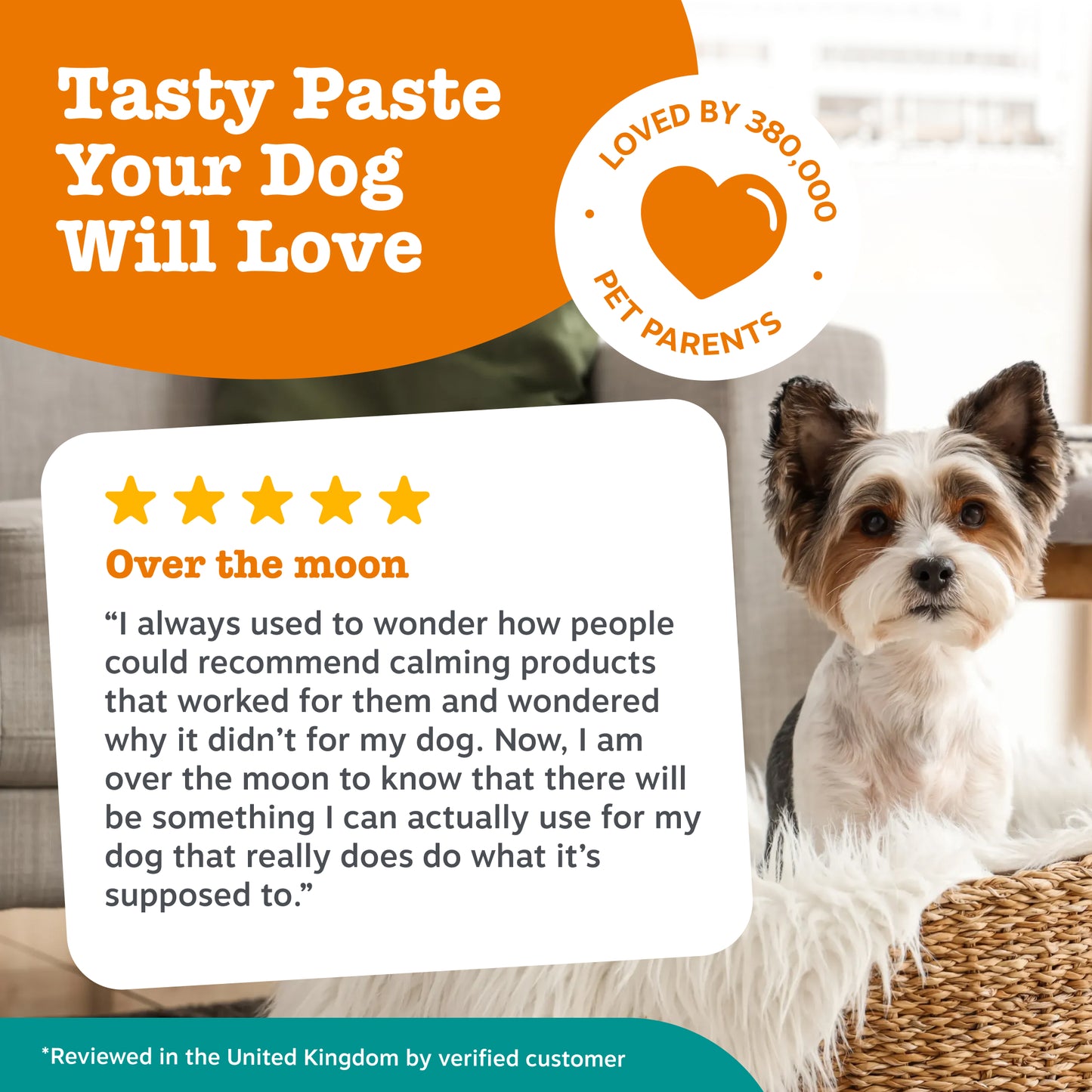 Zesty Paws Easy Calm Rapid Care Paste