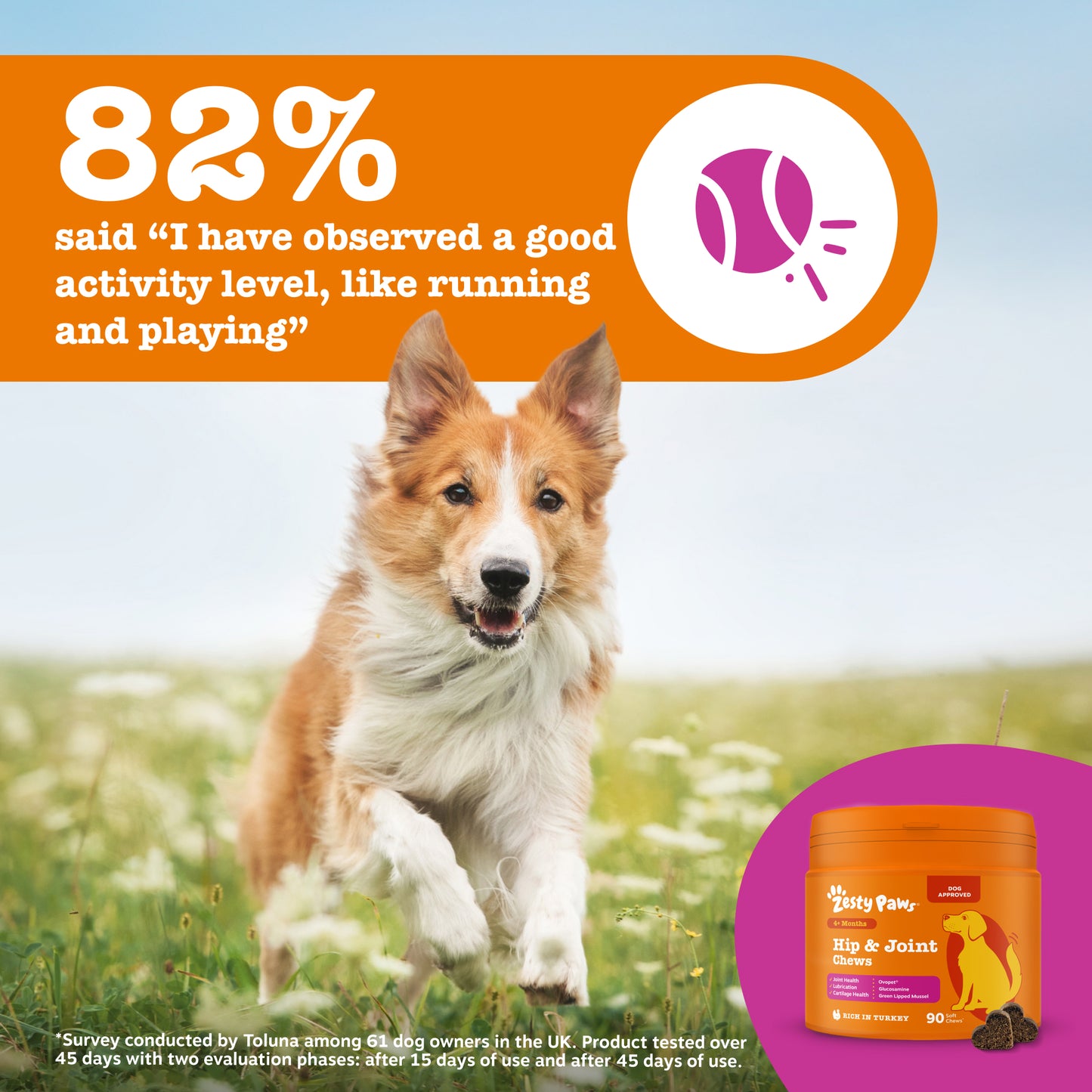 Zesty Paws Hip & Joint Chews
