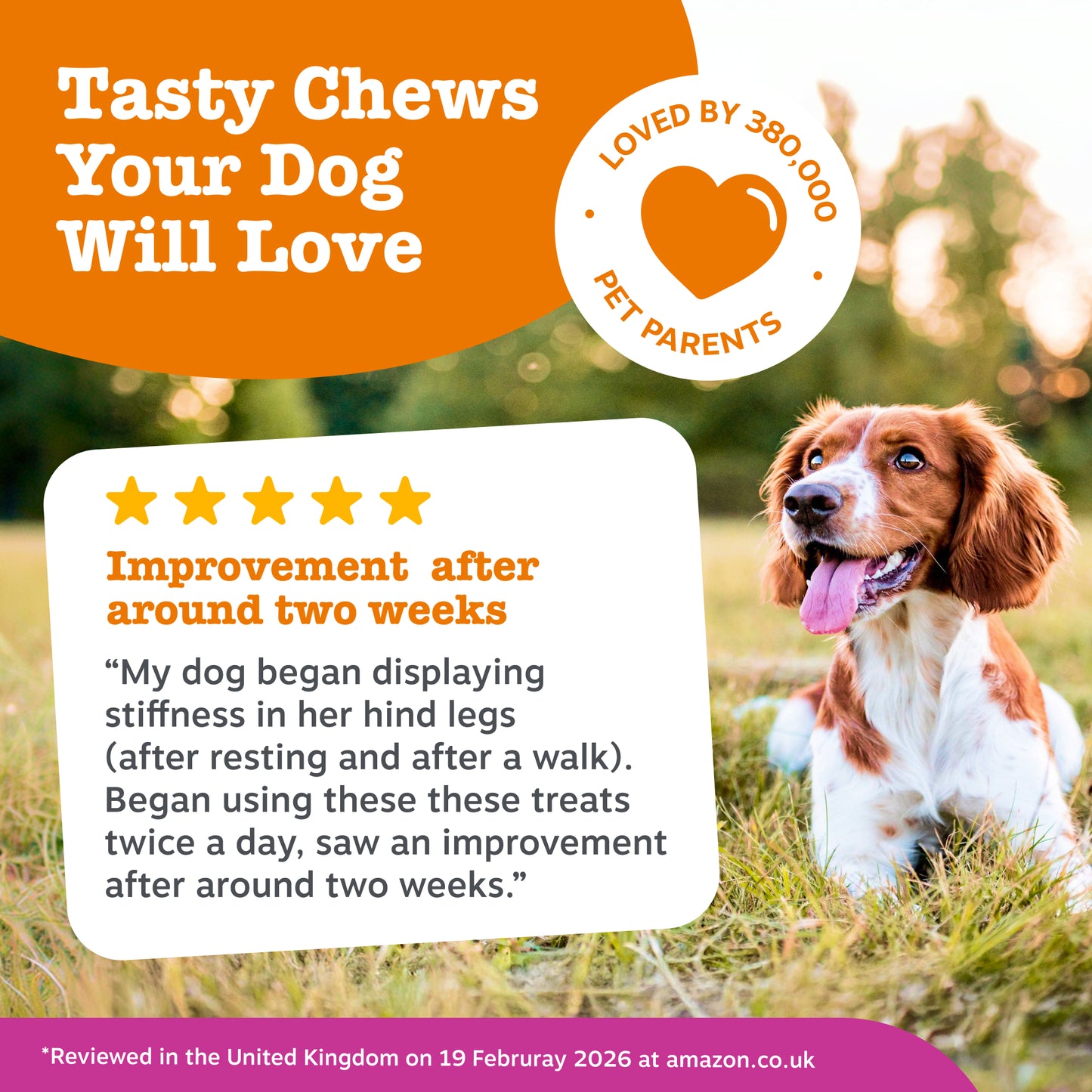 Zesty Paws Hip & Joint Chews