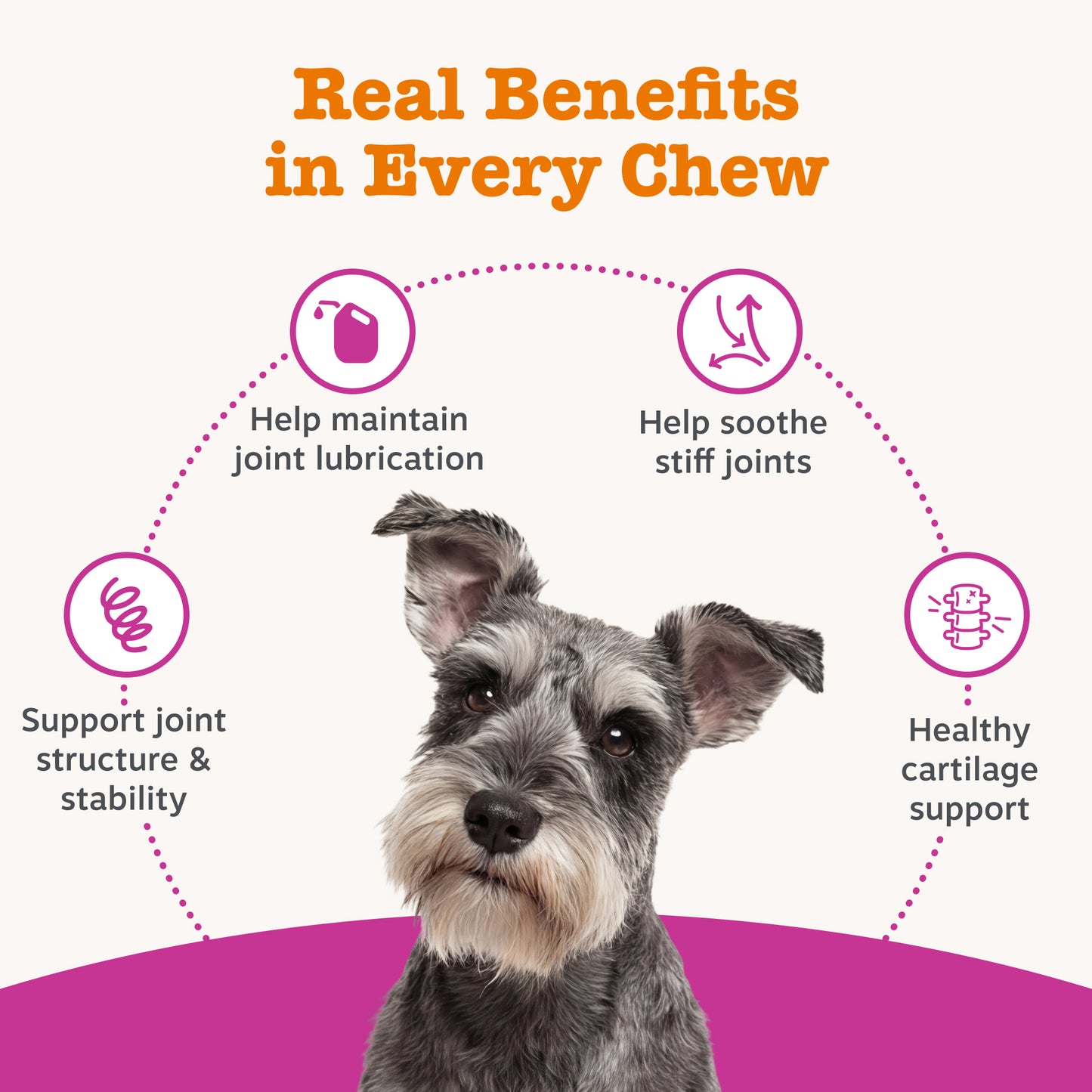 Zesty Paws Hip & Joint Chews