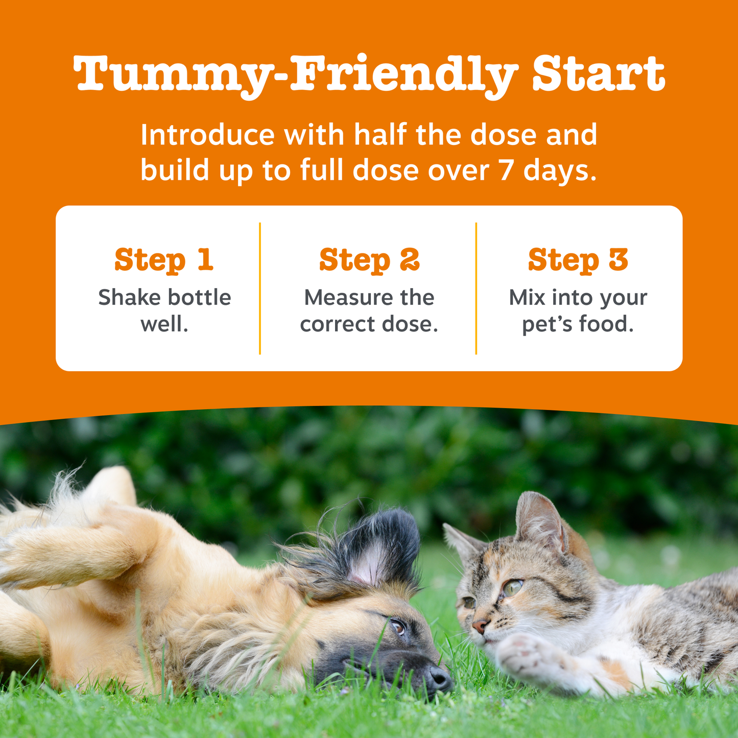 Zesty Paws Hip & Joint Salmon Oil