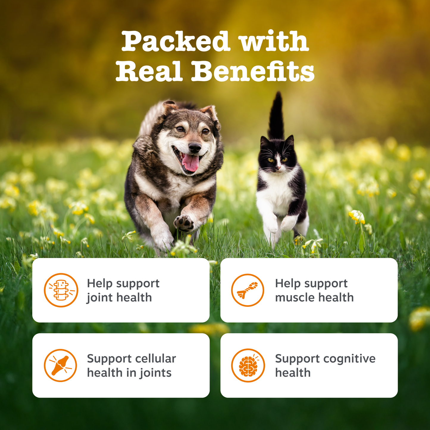 Zesty Paws Hip & Joint Salmon Oil