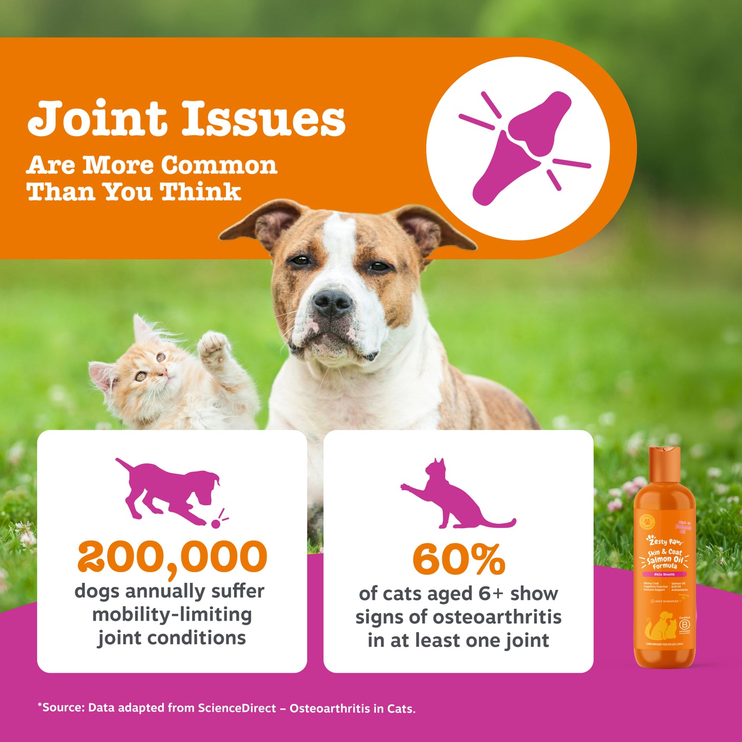 Zesty Paws Hip & Joint Salmon Oil